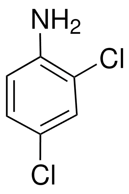 2,4-Dichloroaniline 99%