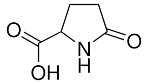2-Pyrrolidone-5-carboxylic acid 99%