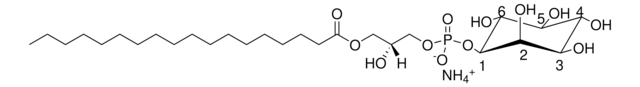 18:0 Lyso PI 1-stearoyl-2-hydroxy-sn-glycero-3-phosphoinositol (ammonium salt), powder