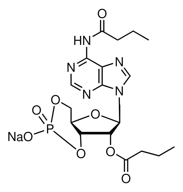 N6,2&#8242;-O-二丁酰基腺苷 3&#8242;,5&#8242;-环单磷酸 钠盐 &#8805;96% (HPLC), powder
