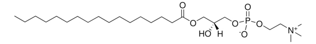 17:0 Lyso PC 1-heptadecanoyl-2-hydroxy-sn-glycero-3-phosphocholine, chloroform