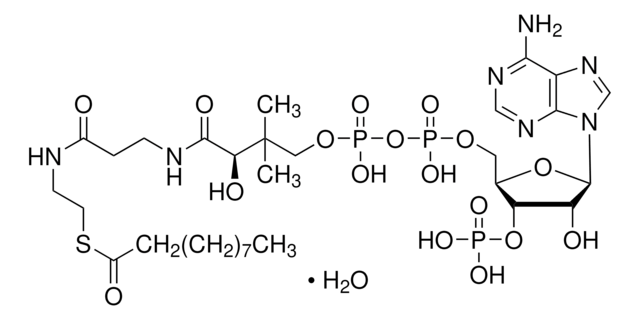 癸酰辅酶&#160;A 一水合物 &#8805;90%