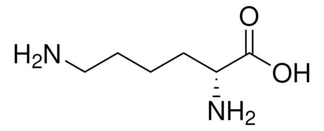D-Lysine &#8805;98% (HPLC)