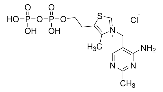 焦磷酸硫胺素 Pharmaceutical Secondary Standard; Certified Reference Material