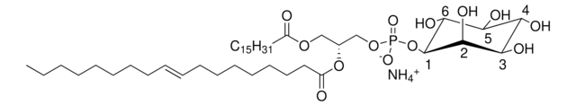 16:0-18:1 PI 1-palmitoyl-2-oleoyl-sn-glycero-3-phosphoinositol (ammonium salt), powder