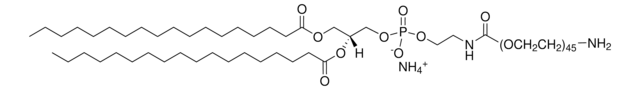 DSPE-PEG(2000)胺 Avanti Polar Lipids 880128C