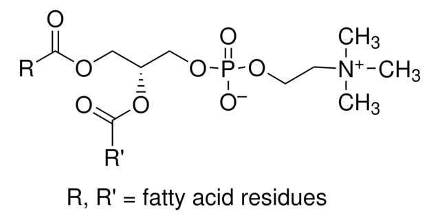 L-&#945;-磷脂酰胆碱 egg yolk, Type XIII-E, 100&#160;mg/mL in ethanol, solution