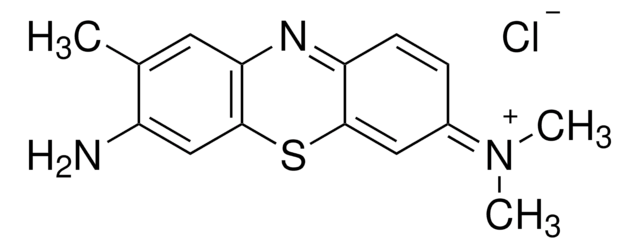 Toluidine Blue O certified by the Biological Stain Commission