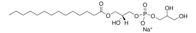 14:0 Lyso PG 1-myristoyl-2-hydroxy-sn-glycero-3-phospho-(1&#8242;-rac-glycerol) (sodium salt), powder