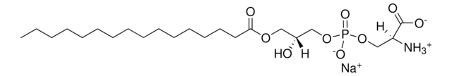 16:0 Lyso PS 1-palmitoyl-2-hydroxy-sn-glycero-3-phospho-L-serine (sodium salt), powder