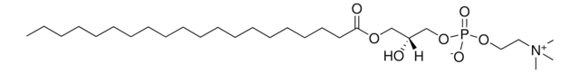 20:0 Lyso PC 1-arachidoyl-2-hydroxy-sn-glycero-3-phosphocholine, powder