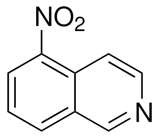 5-硝基异喹啉 98%