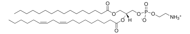16:0-18:2 PE 1-palmitoyl-2-linoleoyl-sn-glycero-3-phosphoethanolamine, chloroform