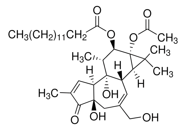 Phorbol 12-myristate 13-acetate &#8805;99% (TLC), film or powder
