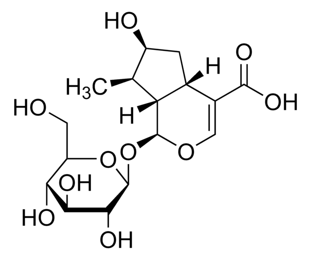 Loganic acid &#8805;95% (LC/MS-ELSD)