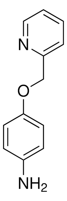 [4-(pyridin-2-ylmethoxy)phenyl]amine AldrichCPR