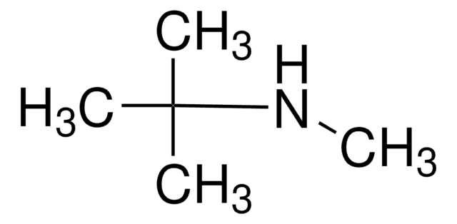 N-叔丁基甲胺 97%