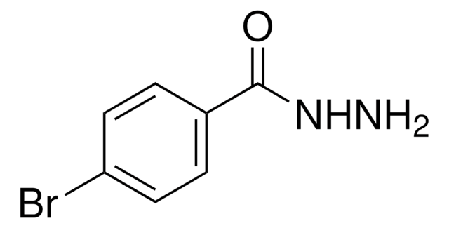 4-Bromobenzoic hydrazide 98%