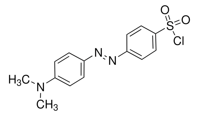 4-(Dimethylamino)azobenzene-4&#8242;-sulfonyl chloride &#8805;97.5% (AT)
