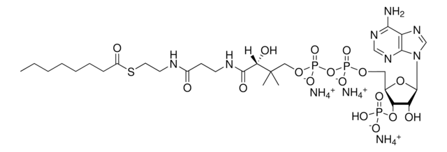 辅酶 A，08:0 Avanti Polar Lipids 870708P, powder