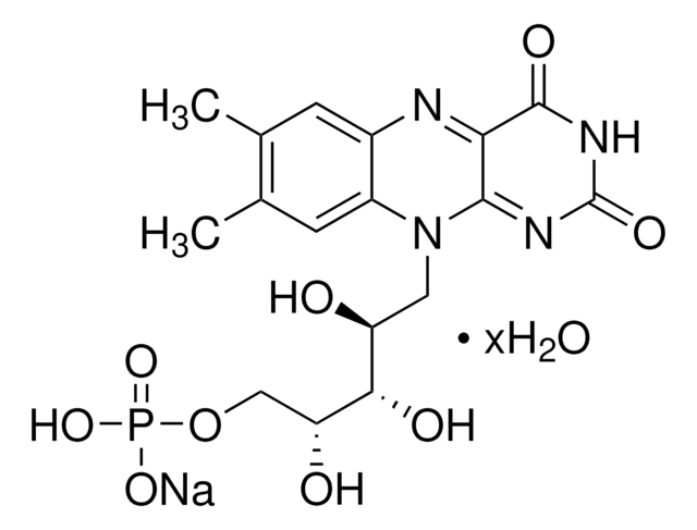 核黄素 5'-单磷酸盐 钠盐 水合物 suitable for electrophoresis, suitable for acrylamide photopolymerization, &#8805;70%, powder