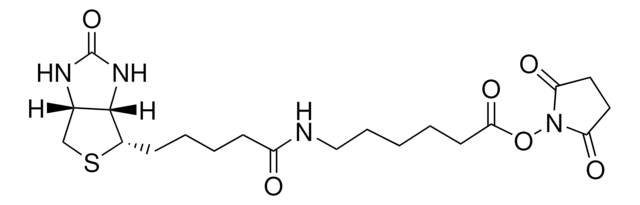 Biotinamidohexanoic acid N-hydroxysuccinimide ester &#8805;98% (TLC), powder