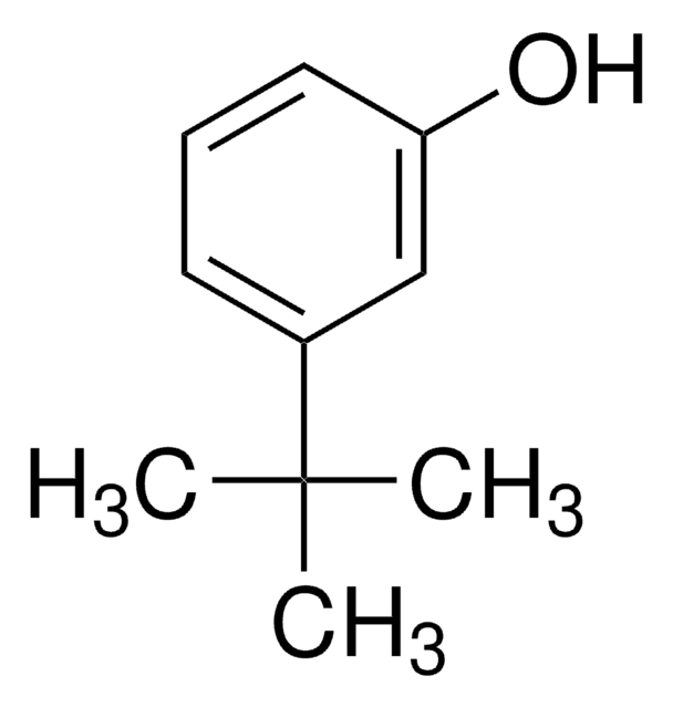 3-叔丁基苯酚 99%