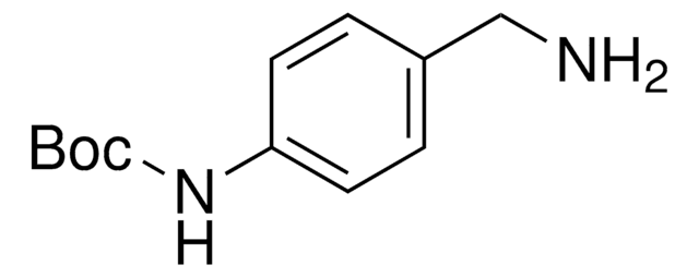 4-(Boc-amino)benzylamine 95%