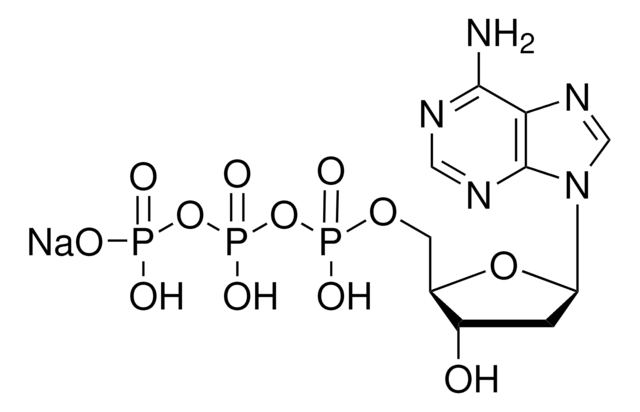 2&#8242;-Deoxyadenosine 5&#8242;-triphosphate sodium salt solution 100&#160;mM, pH 7