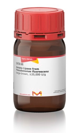 阿马诺脂肪酶 来源于荧光假单胞菌 beige-brown, &#8805;20,000&#160;U/g