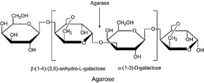 琼脂水解酶 来源于大西洋假单胞菌 lyophilized powder, &#8805;5,000&#160;units/mg protein (Lowry)