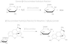 &#946;-Glucuronidase from Helix pomatia Type H-2, aqueous solution, &#8805;85,000&#160;units/mL