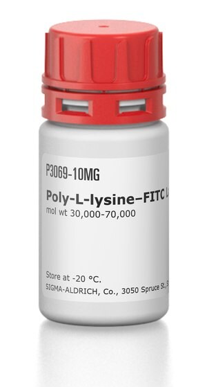 聚L - 赖氨酸 - FITC标记 mol wt 30,000-70,000