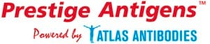 PrEST Antigen TOE1 Prestige Antigens&#8482; Powered by Atlas Antibodies, buffered aqueous solution