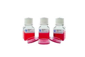 HAYFLICK琼脂 suitable for microbiology, For general mycoplasma detection, pkg of 60 mm&#160;plates (20 plates per box)