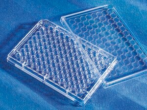 Corning&#174; 96 Well EIA/RIA Assay Microplate flat bottom clear, polystyrene, high binding surface, bag of 20, sterile, lid