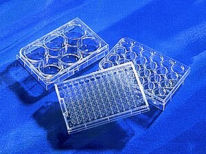 Corning&#174; Costar&#174; Ultra-Low Attachment Multiple Well Plate size 96&#160;well, flat bottom clear, pkg of (individually wrapped), pkg of (24/case), sterile, lid