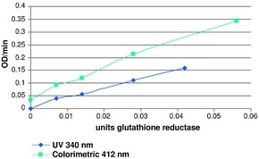 Glutathione Reductase Assay Kit Sufficient for 100 colorimetric tests