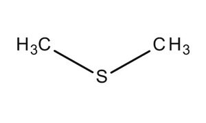 Dimethyl sulfide for synthesis