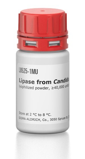 脂肪酶 来源于皱褶假丝酵母 lyophilized powder, &#8805;40,000&#160;units/mg protein