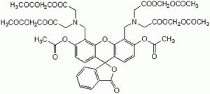 钙黄绿素-AM - CAS 148504-34-1 - Calbiochem A cell-permeable, non-fluorescent, and hydrophobic compound, which is rapidly hydrolyzed by intracellular esterases releasing the membrane-impermeable, hydrophilic, and intensely fluorescent calcein.