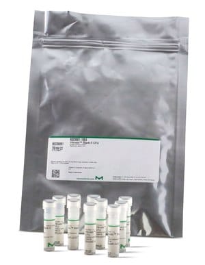 Pseudomonas aeruginosa WDCM 00026 Vitroids&#8482; 130-300 CFU mean value range, certified reference material, suitable for microbiology
