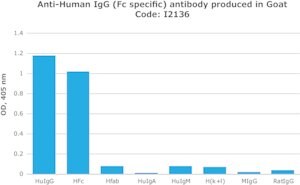 Anti-Human IgG (Fc specific) antibody produced in goat affinity isolated antibody, buffered aqueous solution