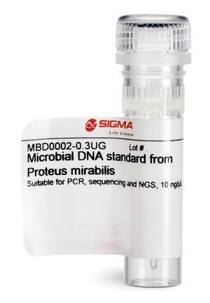 Microbial DNA standard from Proteus mirabilis Suitable for PCR, sequencing and NGS