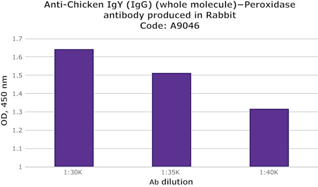 Anti-Chicken IgY (IgG) (whole molecule)-Peroxidase antibody 