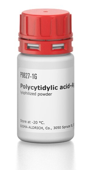 聚胞苷酸-琼脂糖 lyophilized powder