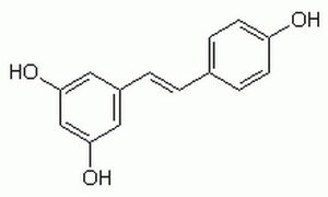 Resveratrol - CAS 501-36-0 - Calbiochem A phenolic product found in both grape skins and wines.
