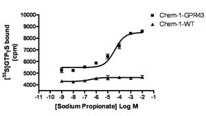ChemiSCREEN Membrane Preparation Recombinant Human GPR43 Free Fatty Acid Receptor Human FFA2 / GPR43 GPCR membrane preparation for Radioligand binding Assays &amp; GTP&#947;S binding.