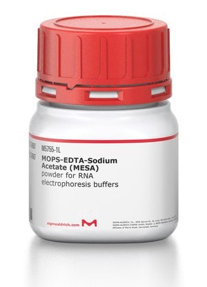 MOPS-EDTA-乙酸钠 (MESA) powder for RNA electrophoresis buffers