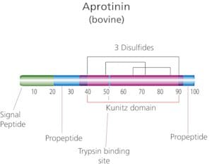 Aprotinin from bovine lung saline solution, 3-7&#160;TIU/mg protein